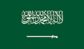 TGM Travel Insights in Saudi Arabia 2025 
