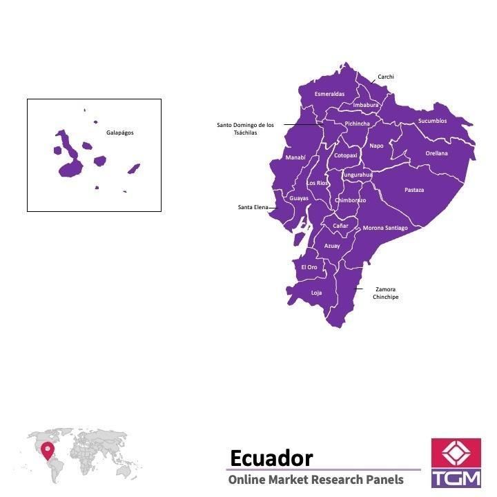 Online panel in Ecuador 