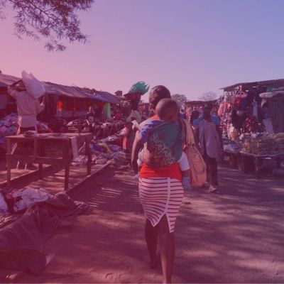Run Rapid Mini Surveys in Zambia 